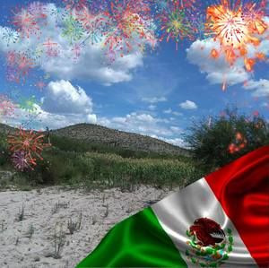 Meet your Posher, Erasmo